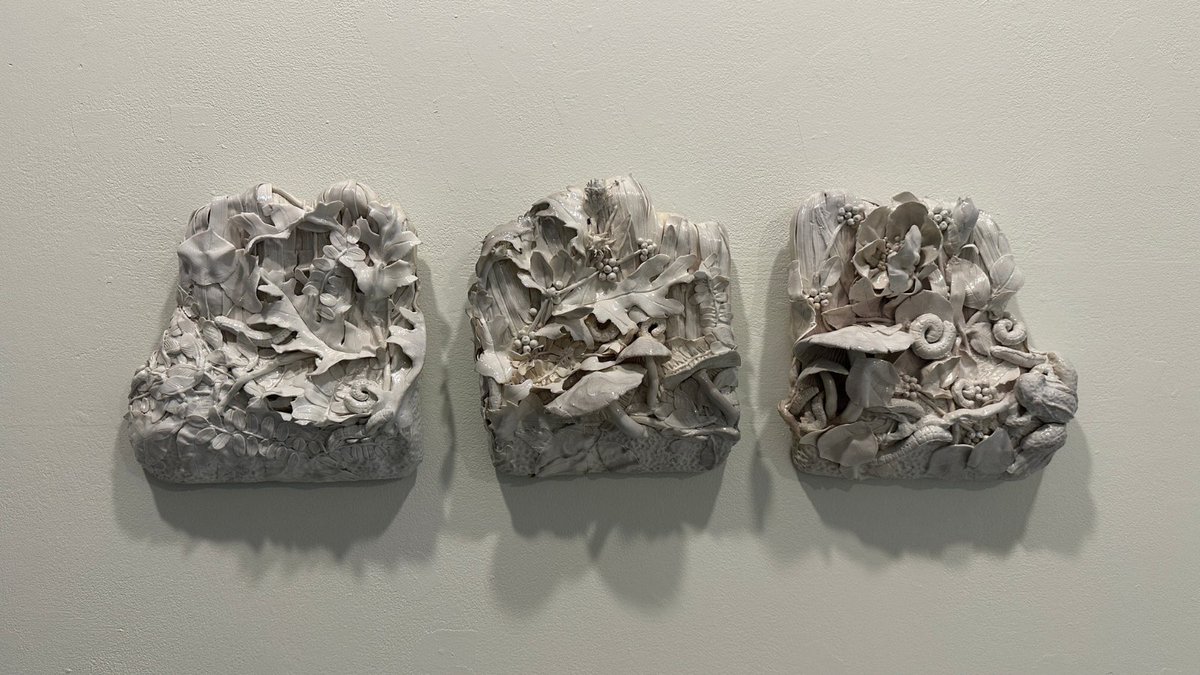 Manufactured Ecosystems, on now at #UofG’s Zavitz Gallery, shows how technology could replace ecosystem services in the event of global climate collapse. The exhibit features interactive installations &amp; storytelling from global &amp; student collaborators: uoguel.ph/a83qz