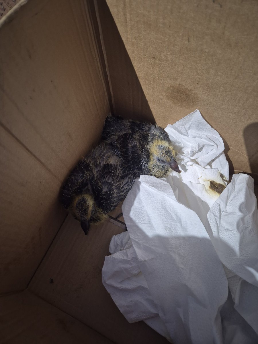 2 more customers today