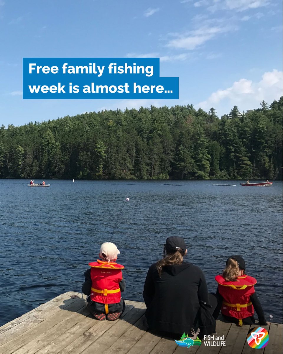 From June 28-July 6 all Canadian residents can fish for free in Ontario. Make Canada Day special by learning how to fish or by teaching your family and friends!
 
🔗ontario.ca/page/free-fami…