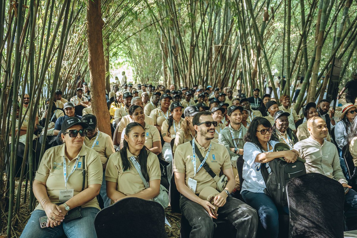 UNDP_Rwanda's tweet photo. ☀️ This morning, delegates attending the Regional Dialogue on #BiodiversityFinance in Kigali took a refreshing & insightful stroll through Nyandungu Eco-Park, a peaceful green oasis that was once a degraded wetland.

From Vision to Reality; Nyandungu Eco-Park embodies exactly what the BioFin dialogue is fighting for; proof that the $700 billion biodiversity funding gap can be bridged with smart investment.
#Finance4Nature 🦚 🦍 ☘️