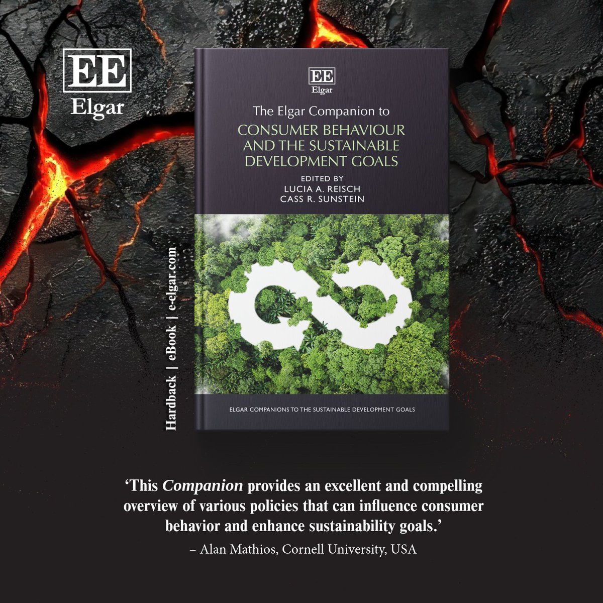 Elgar Business (@elgar_business) on Twitter photo NEW The Elgar Companion to Consumer Behaviour and the #SustainableDevelopmentGoals
Eds <a href="/LuciaReisch/">Lucia Reisch</a> <a href="/Cambridge_Uni/">Cambridge University</a> <a href="/Cass_R_Sunstein/">サンスティーンに飼われてる狸</a> <a href="/Harvard/">Harvard University</a>
Details tinyurl.com/2wjtfhmk
Read a sample doi.org/10.4337/978103…
#SDGs #Sustainability #consumption #FoodPolicy #ConsumerBehaviour NEW The Elgar Companion to Consumer Behaviour and the #SustainableDevelopmentGoals
Eds <a href="/LuciaReisch/">Lucia Reisch</a> <a href="/Cambridge_Uni/">Cambridge University</a> <a href="/Cass_R_Sunstein/">サンスティーンに飼われてる狸</a> <a href="/Harvard/">Harvard University</a>
Details tinyurl.com/2wjtfhmk
Read a sample doi.org/10.4337/978103…
#SDGs #Sustainability #consumption #FoodPolicy #ConsumerBehaviour