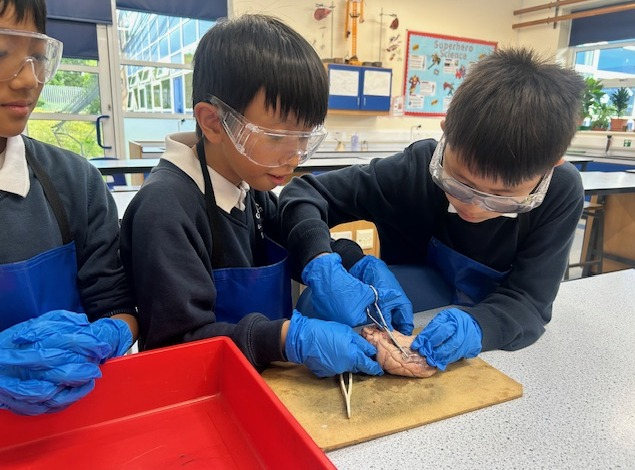 Amazing day with all Year 5 students from Coppice Primary School today doing Science, Design Tech, PE, Art and Drama. Thank you Coppice - you were superb! We can’t wait to see you all again soon.