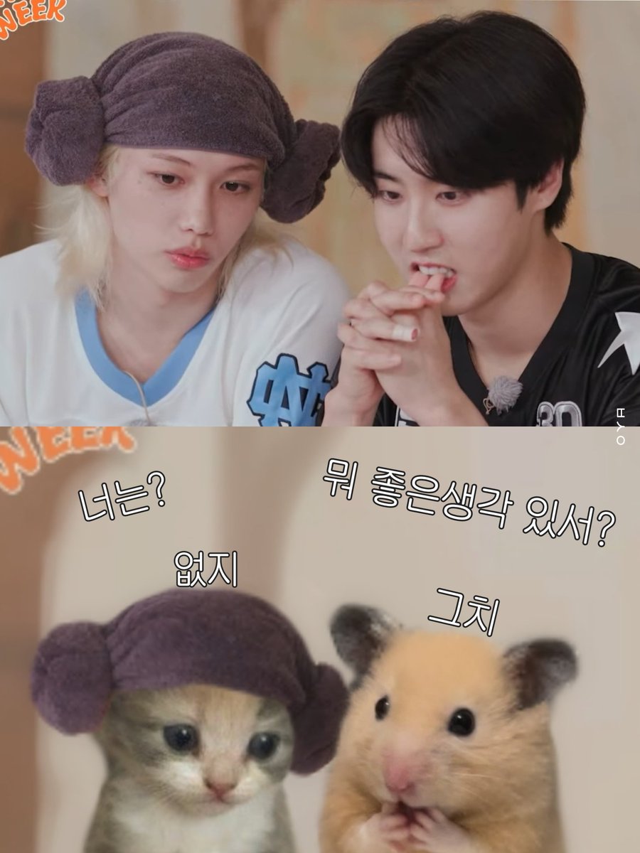 람냥즈 코어  
작고 소듕해