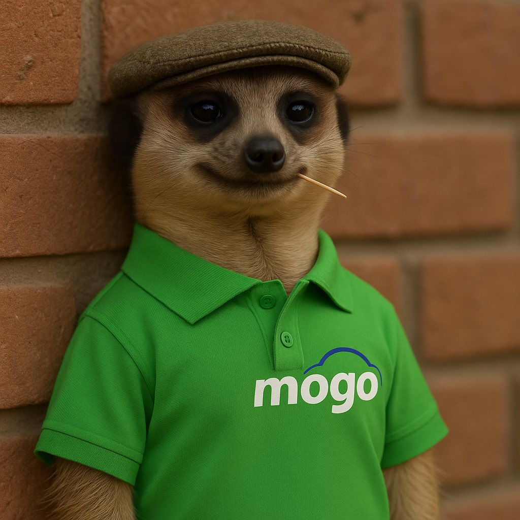 Others: Let me save all my money to get a smartphone! 

MOGO :