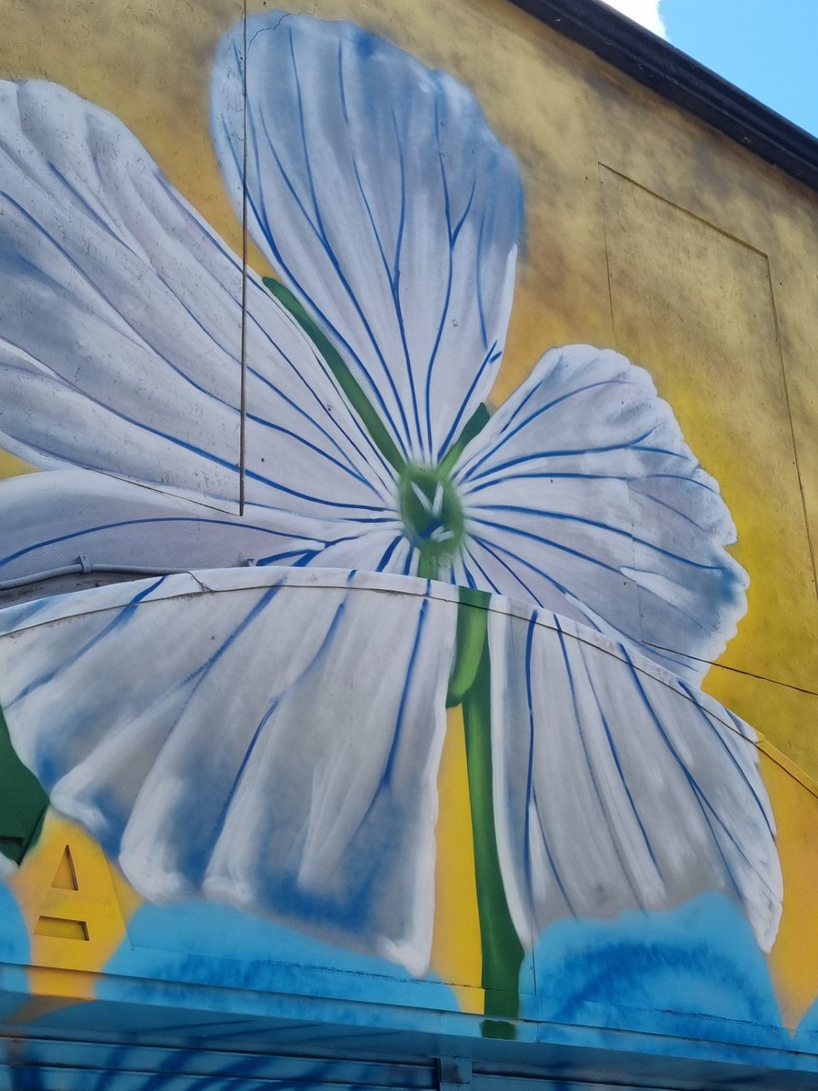 Linen Quarter BID (@linenquarterbid) on Twitter photo Some details are emerging of our new street art piece celebrating the Linen Quarter as a place for 'seeding success'. The District is home to both the <a href="/ormeau_labs/">Ormeau Labs</a> and Catalyst hub in the Ewart, with both hubs fostering local know-how to help starting entrepreneurs to scale up. Some details are emerging of our new street art piece celebrating the Linen Quarter as a place for 'seeding success'. The District is home to both the <a href="/ormeau_labs/">Ormeau Labs</a> and Catalyst hub in the Ewart, with both hubs fostering local know-how to help starting entrepreneurs to scale up.