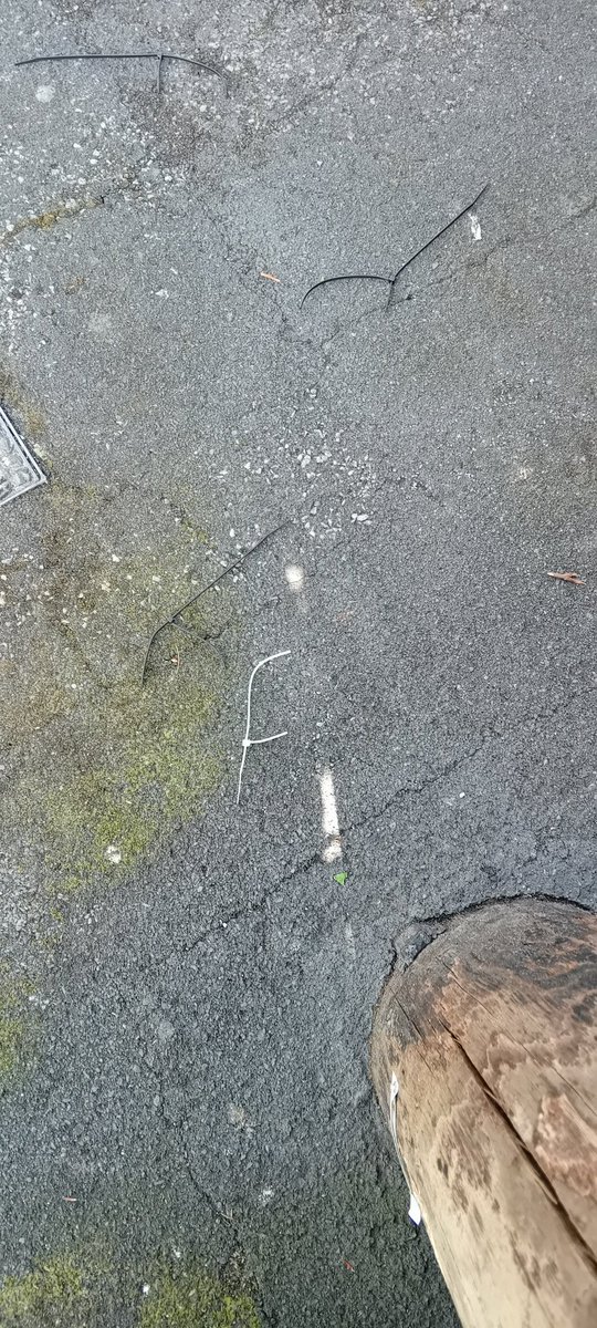 basarath's tweet image. Good afternoon. Given the number of people walking dogs and the risk of them chocking, I would have expected your team to clean up after them.
All the Best