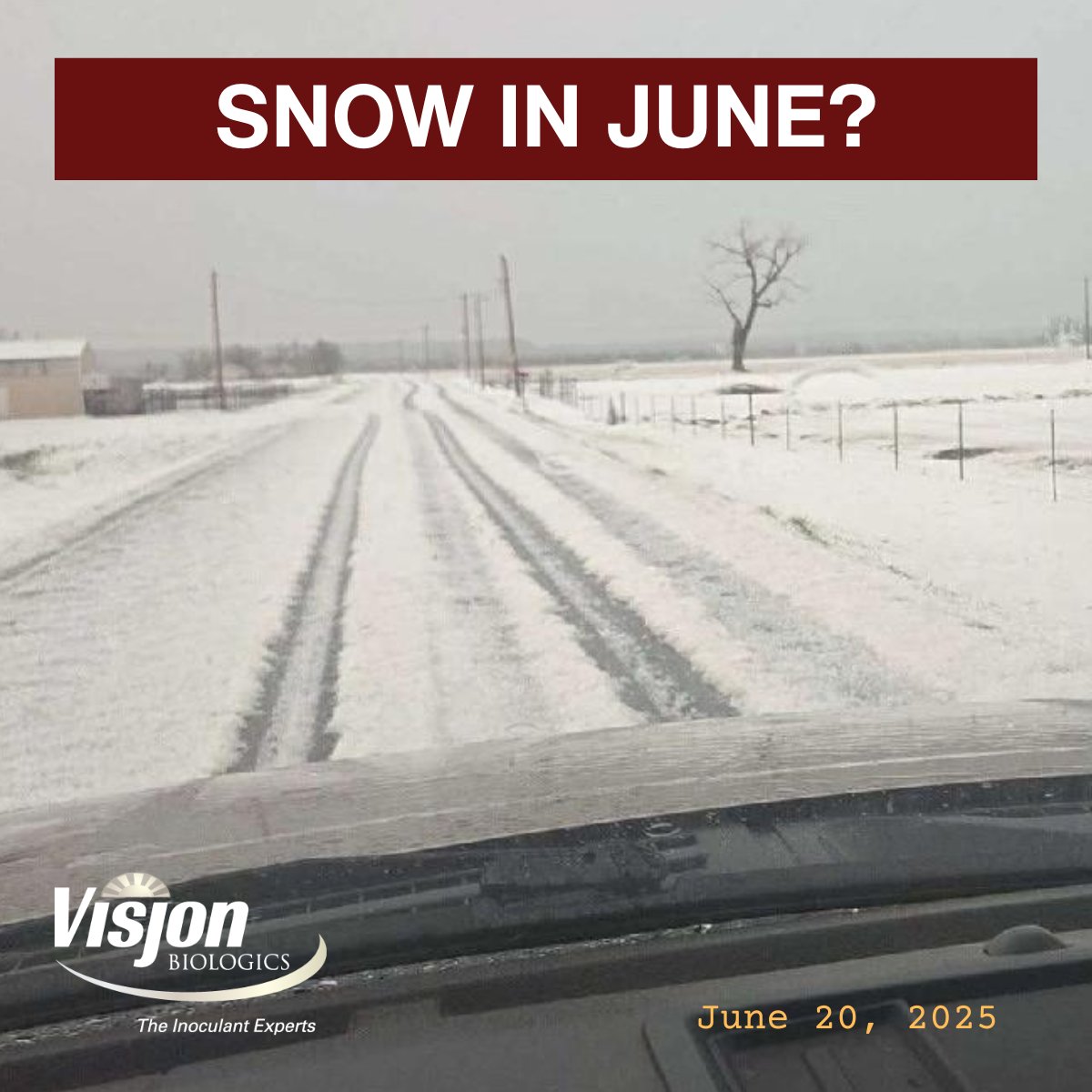 Not snow, but that was quite a storm that went through last week! We have an exciting new product that can help with soybean and dry bean crop recovery. Call us today. 940-264-0343. info@visjonbio.com