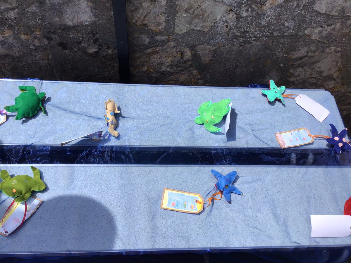 H_E_P_S's tweet photo. Leazemoor’s wonderful whole school project based on the book The rhythm of the rain by Grahame Baker-Smith. #hepsEnglish #hepsscience #hepsgeography #hepsartandDT https://t.co/Xmfz3g9Ver