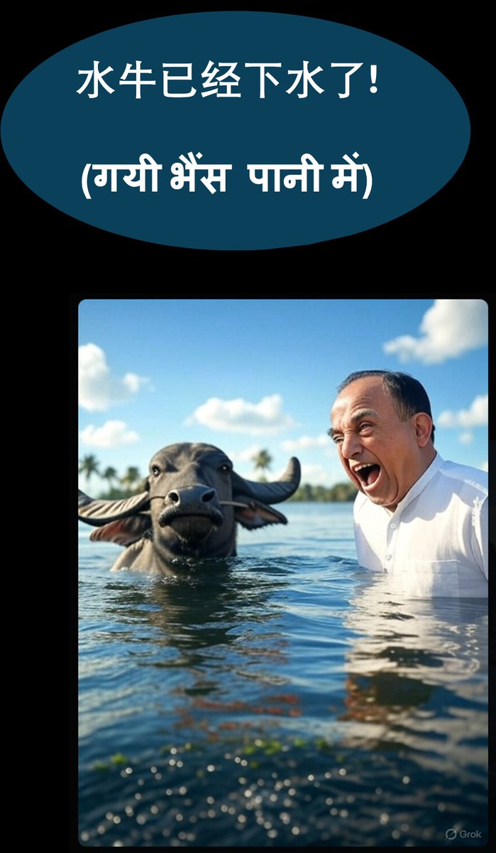 On the subject of the Rajya Sabha seat &amp; buffaloes, miLords, the question really is, which भैंस is being referred to in the age old Hindi proverb?

#SubramanianSwamy #Swamy39 #RajyaSabha #SenileSwamy #viRAThindu #VHS #HaidarHindu #BJP #RajyaSabha #buffalo