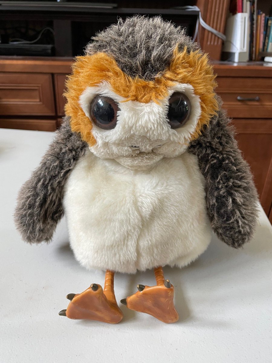 Product Strategy lessons from Romeo the Porg
tinyurl.com/48sducvu