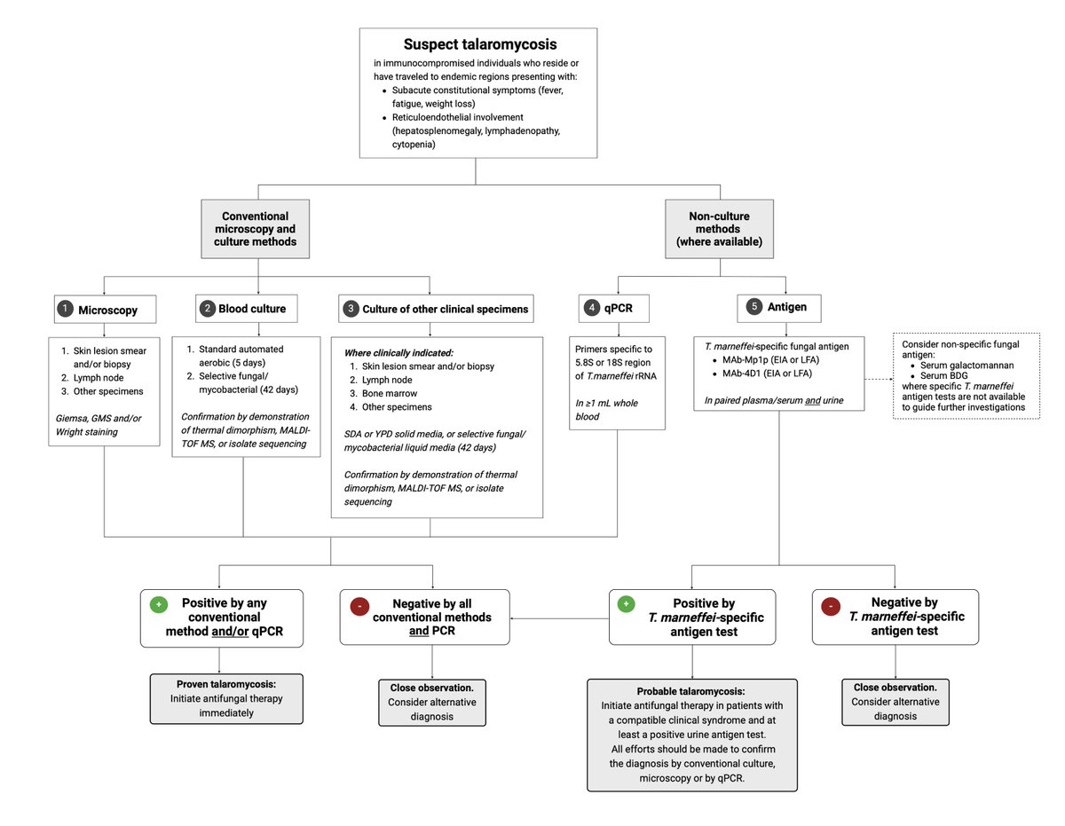 Dr Lottie Brown (@drlottiebrown) on Twitter photo Our article out in <a href="/CIDJournal/">Clinical Infectious Diseases</a> today 😀 We present a diagnostic and treatment algorithm for the neglected disease talaromycosis
Check it out here 👉 Recent Advances in the Diagnosis of Talaromycosis academic.oup.com/cid/article/do… Our article out in <a href="/CIDJournal/">Clinical Infectious Diseases</a> today 😀 We present a diagnostic and treatment algorithm for the neglected disease talaromycosis
Check it out here 👉 Recent Advances in the Diagnosis of Talaromycosis academic.oup.com/cid/article/do…