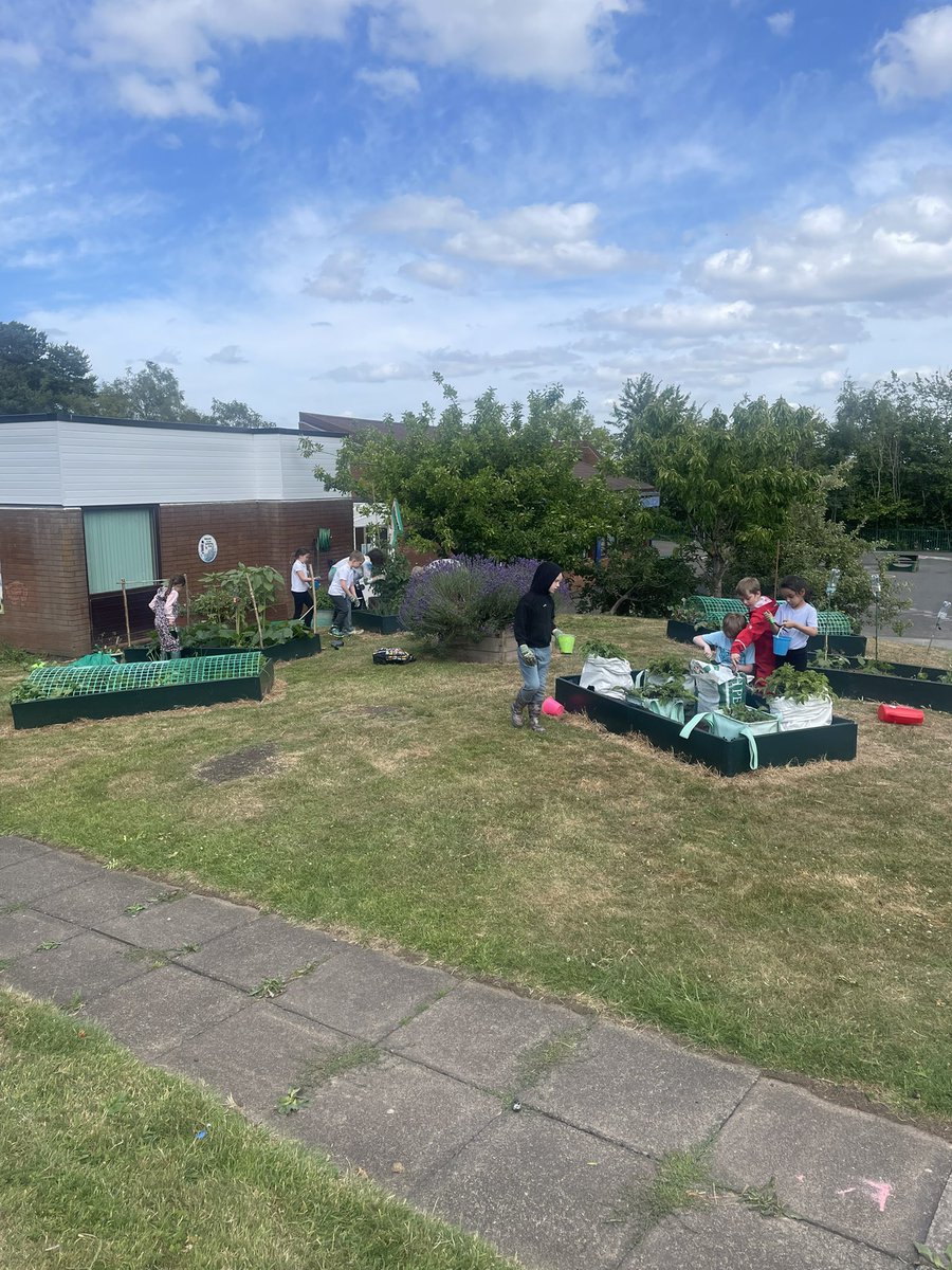 fairwayGLP's tweet image. Our growing area is thriving thanks to our gardening club! 
💚🌸☀️
#Fairway #GLP #Gardeningclub