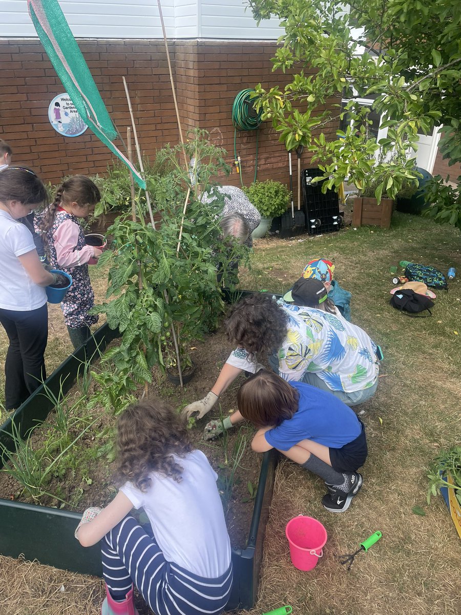 fairwayGLP's tweet image. Our growing area is thriving thanks to our gardening club! 
💚🌸☀️
#Fairway #GLP #Gardeningclub