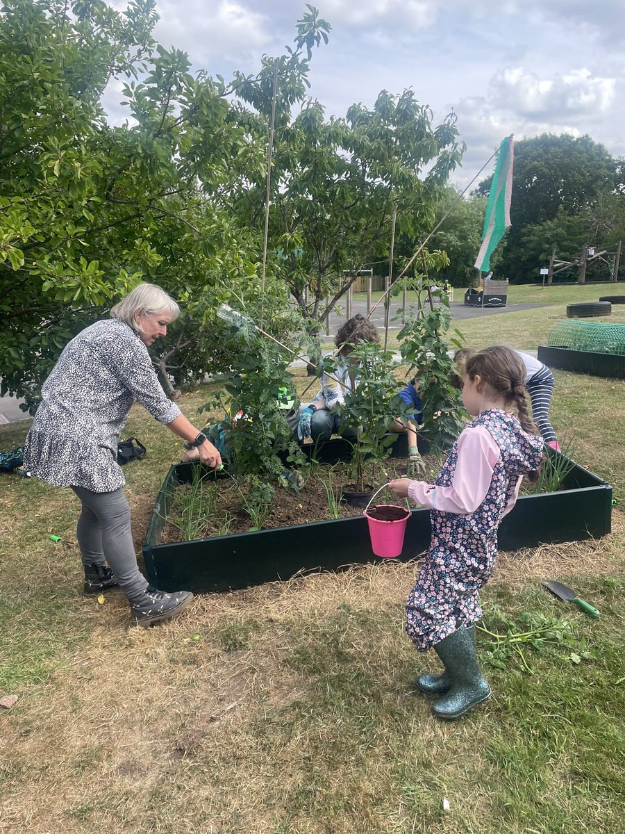 fairwayGLP's tweet image. Our growing area is thriving thanks to our gardening club! 
💚🌸☀️
#Fairway #GLP #Gardeningclub