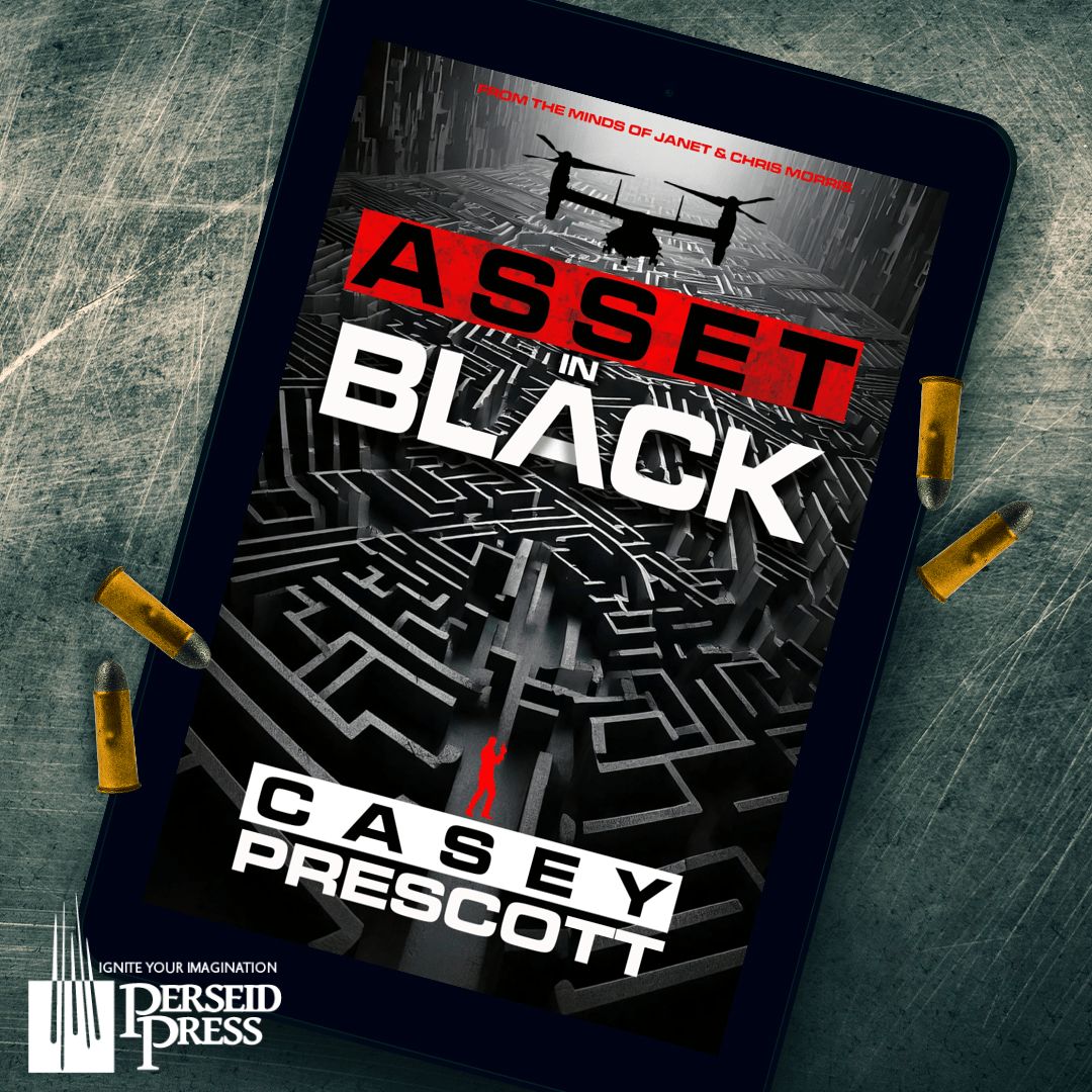 In black operations you're only as good as your network, so you spend a lot of time studying the people you're working with. Cory Hunt has only a day to take the measure of helpers who will have his life in their hands.amzn.to/3Yc10F0 
#PerseidPress #TechnoThriller