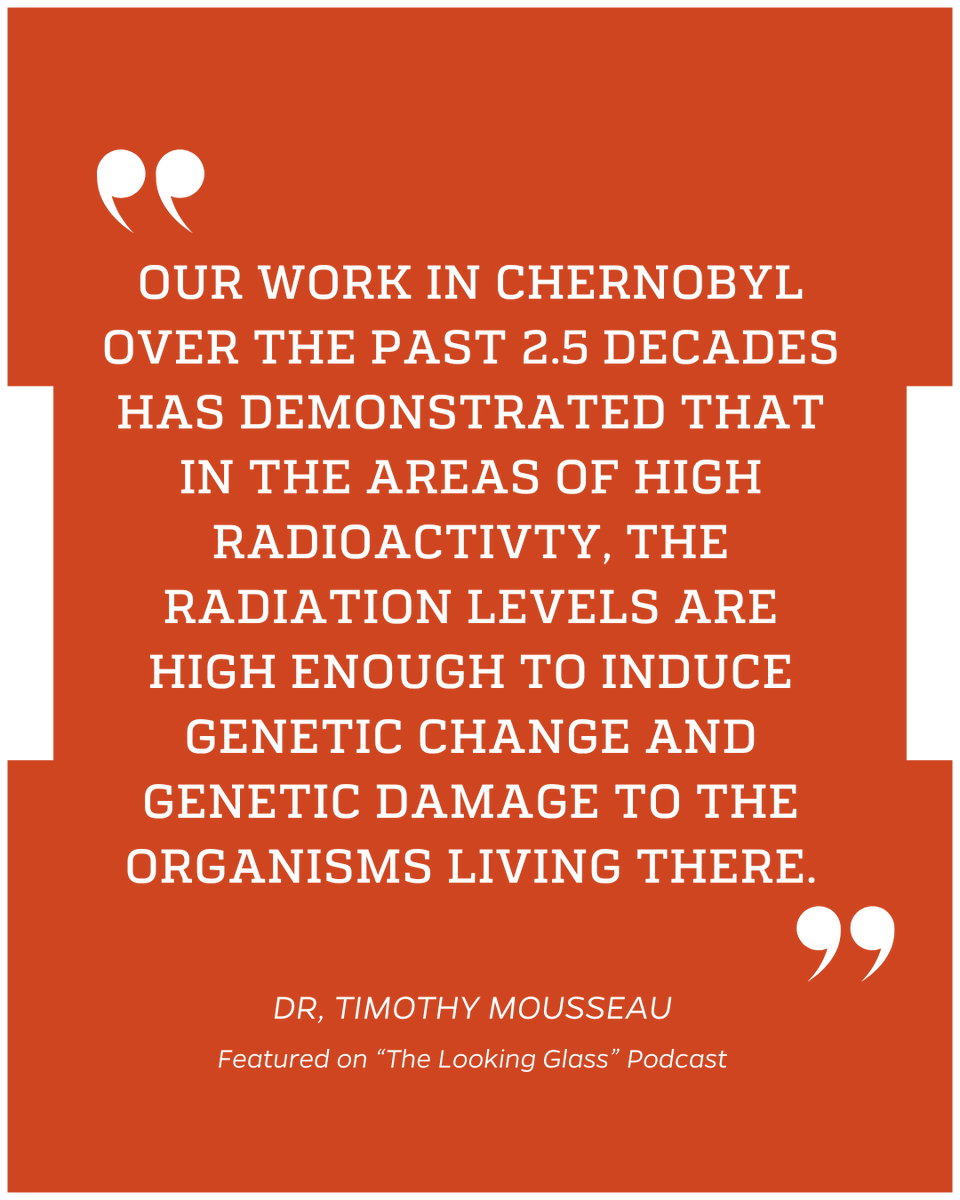 “The Looking Glass” podcast by <a href="/SAISReview/">The SAIS Review of International Affairs</a> and <a href="/FPI_SAIS/">SAIS Foreign Policy Institute</a> dives into disasters—future risks and unfolding realities. Born from a SAIS course where students turn research into real-time conversations with global experts. 

Swipe for takeaways &amp; listen here: apple.co/40q661F