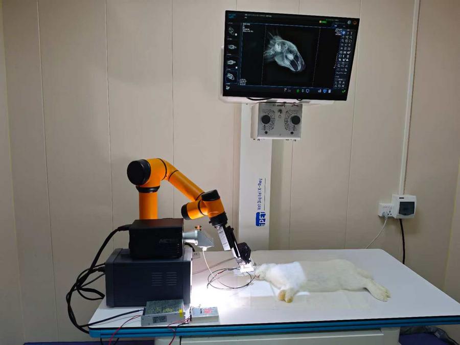 A team of Chinese scientists has developed a type of tiny robot that can remove bacterial infections from deep within the paranasal sinuses, offering a non-invasive and drug-free alternative to conventional treatment methods, according to a study published on Wednesday in the
