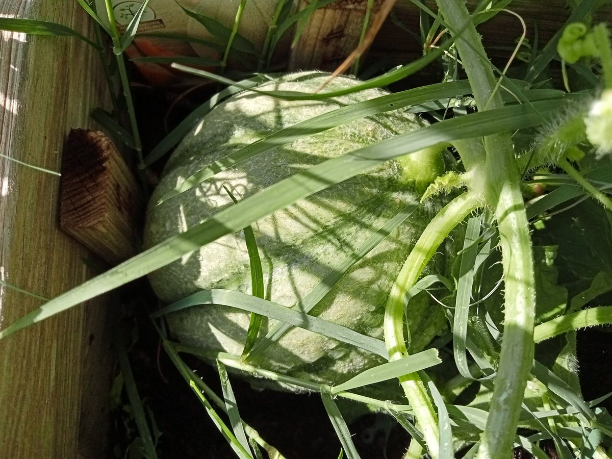 Yo Monteolivo🇪🇺🇮🇹 Umbria Italia. tweet media