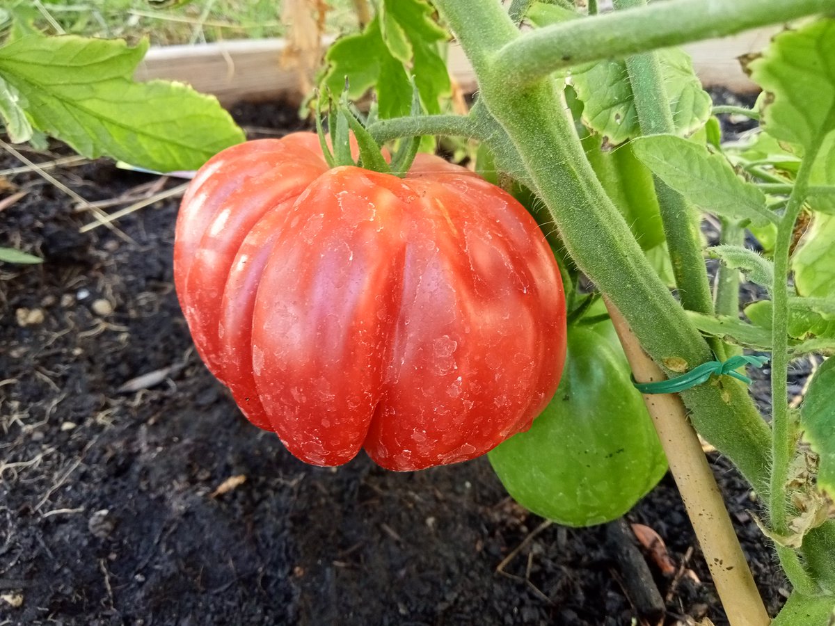 Yo Monteolivo🇪🇺🇮🇹 Umbria Italia. tweet media