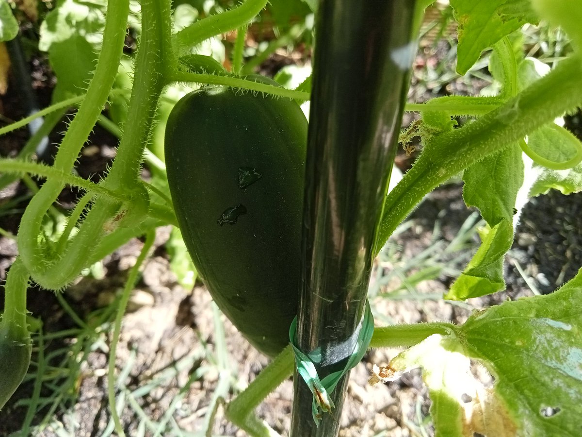 Yo Monteolivo🇪🇺🇮🇹 Umbria Italia. tweet media