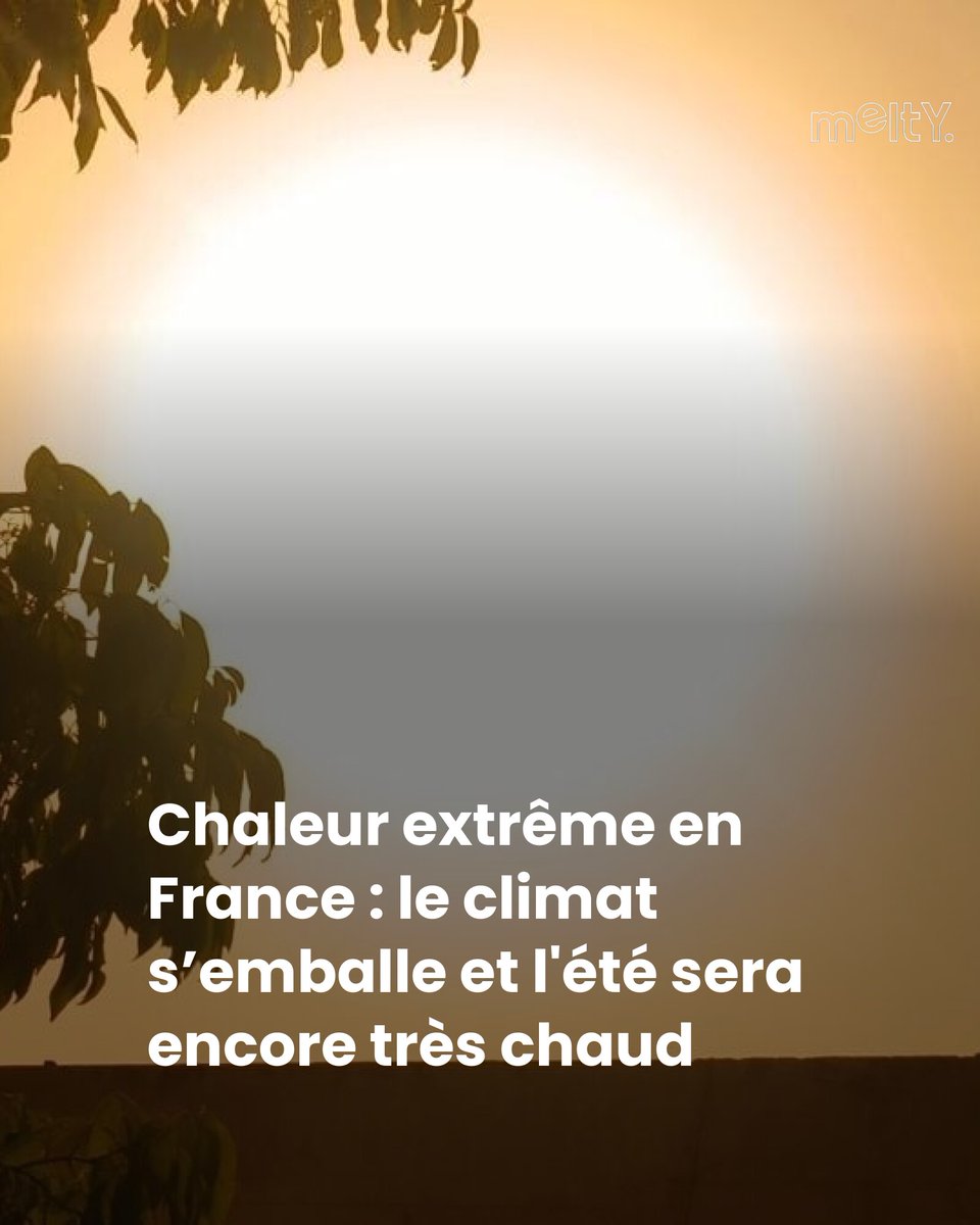 Les prévisions météorologiques sont alarmantes ! L'été 2025 va être encore plus chaud et la canicule va faire des ravages.
➡️ l.melty.fr/TCk