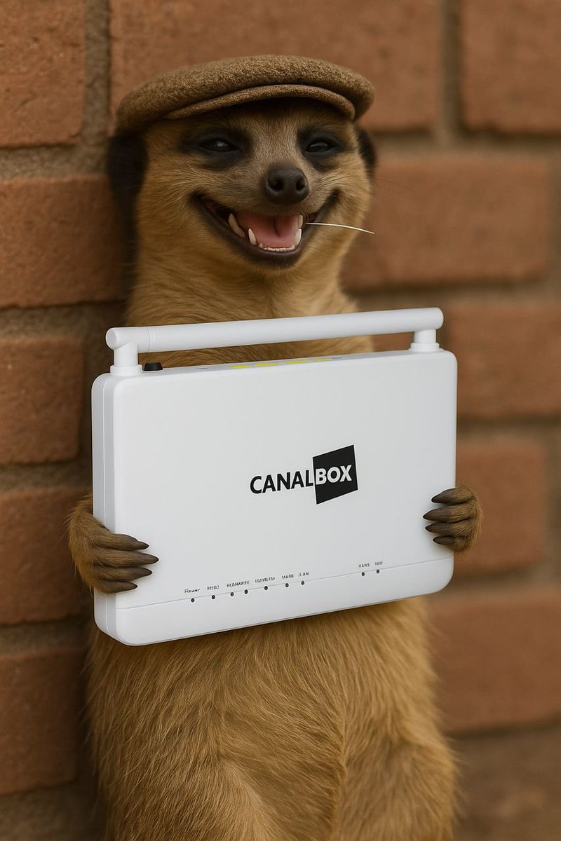 CanalboxR's tweet image. People in norvege: &quot;I wish there was something for me to do for the 6-day weekend&quot;

CanalBox: