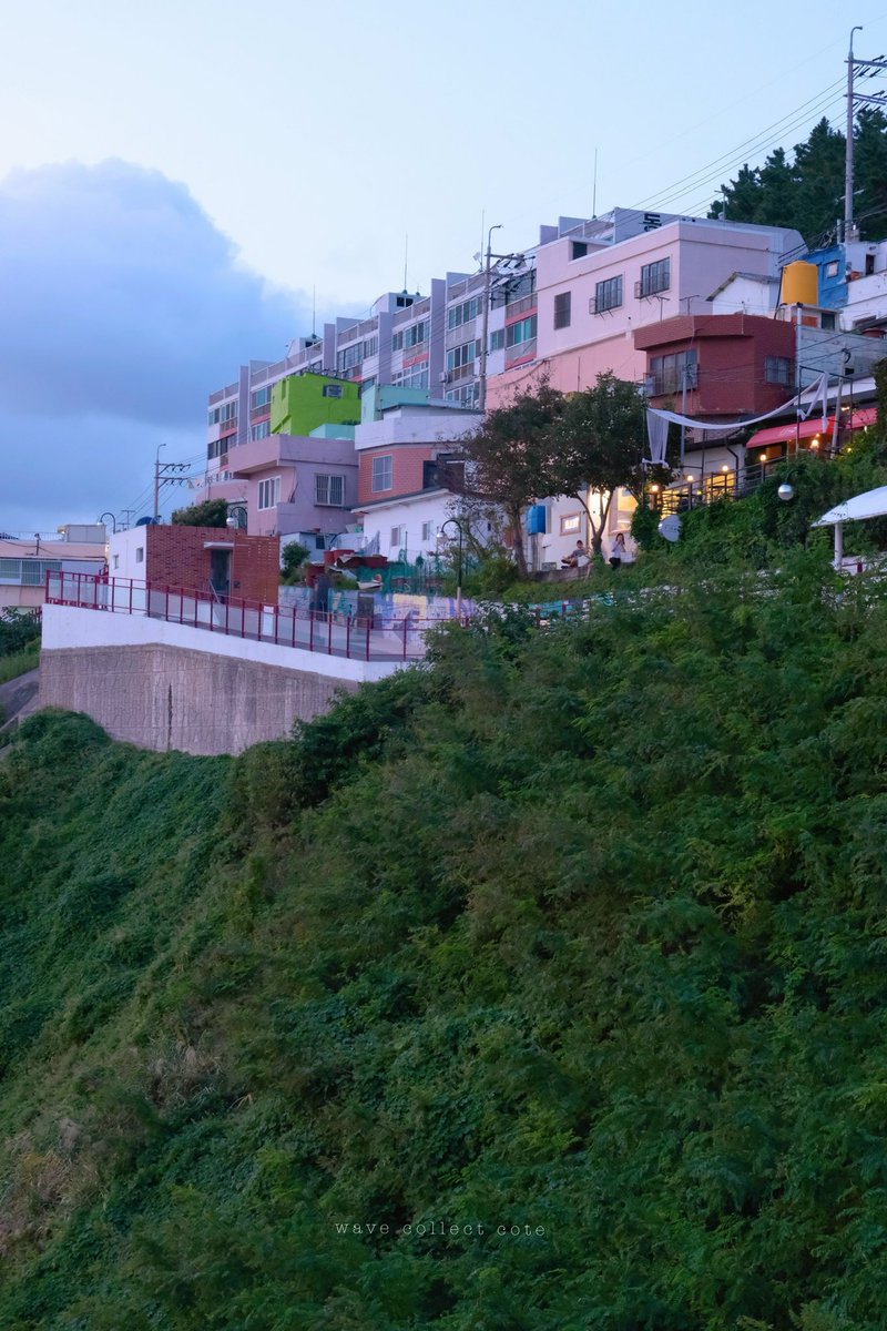 𝚌𝚘𝚝𝚎 tweet media