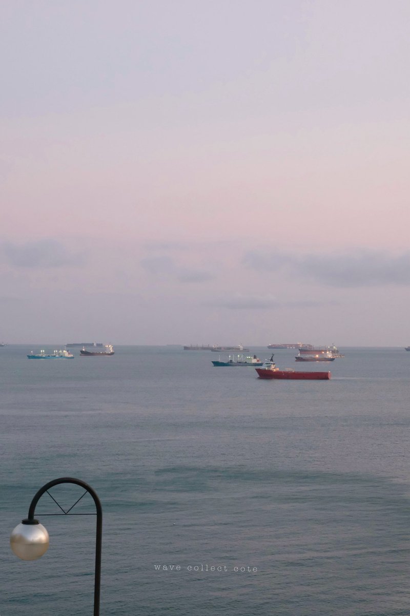 𝚌𝚘𝚝𝚎 tweet media