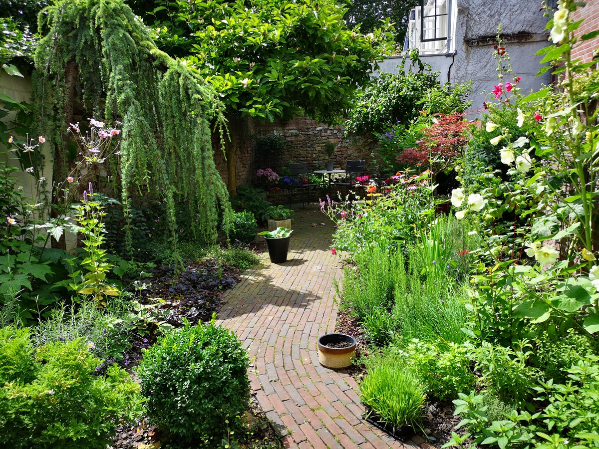 Bedankt!
De Open Tuinendag Utrecht 2025 was een groot succes! Opnieuw kunnen we spreken van een fantastische dag met veel bezoekers. 

Onze dank gaat uit naar de gastvrije tuineigenaren en enthousiaste vrijwilligers die deze editie mogelijk gemaakt hebben!