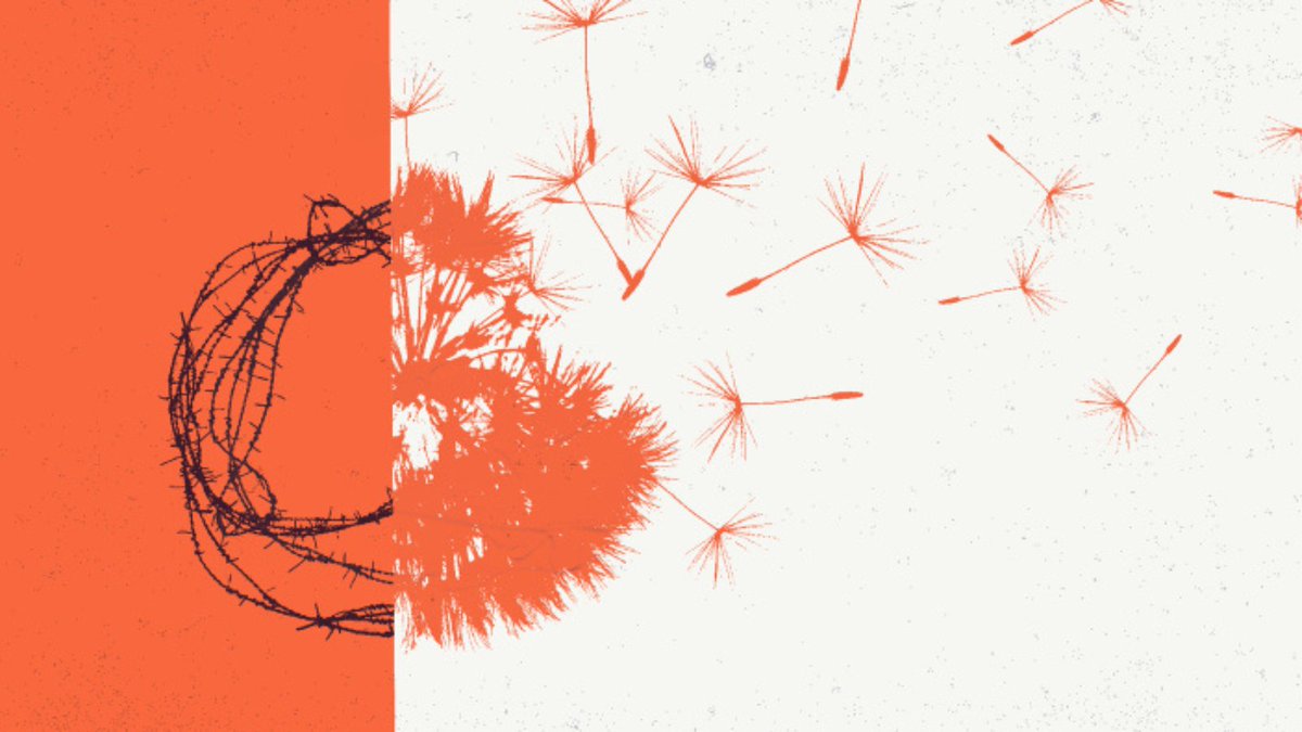 Protecting protests: On the International day in support of victims of torture, UN anti-torture mechanisms call for more responsible and accountable policing of protests amidst serious #HumanRights violations. <a href="/UNTreatyBodies/">UN Treaty Bodies</a> @UN_Spexperts
ohchr.org/sites/default/…