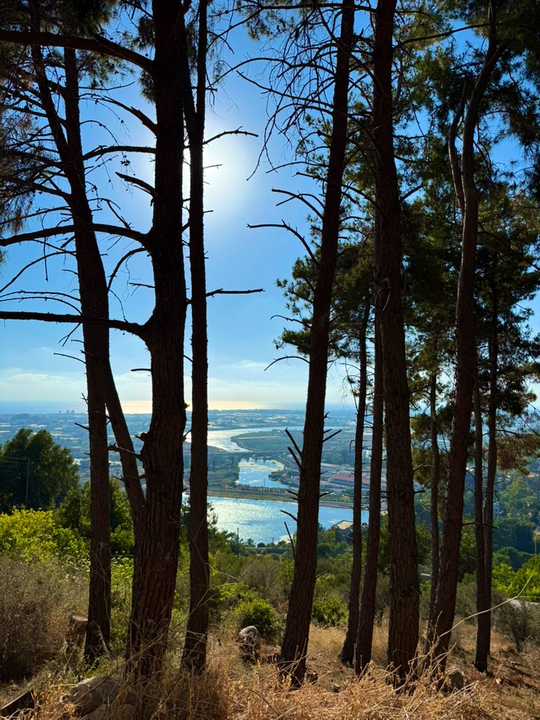 OmarMuhammadAr's tweet image. الساحل الاسلامي
#اللاذقية
نبع السن