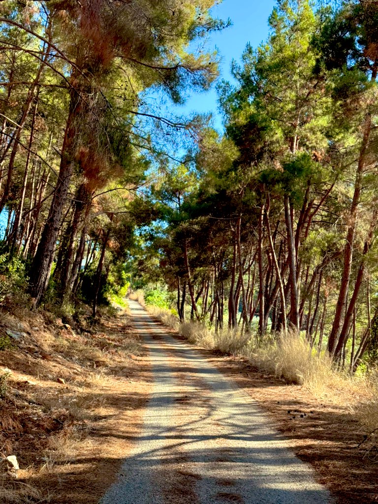 OmarMuhammadAr's tweet image. الساحل الاسلامي
#اللاذقية
نبع السن