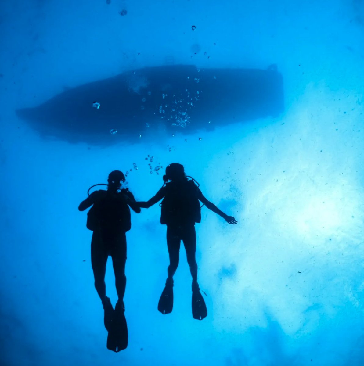 diveSSI's tweet photo. Tag a dive buddy that you can always rely on underwater and at the surface!

📸@cbb15

#divessi #wearessi #scubadivers #divebuddy https://t.co/w1WBmec7YF