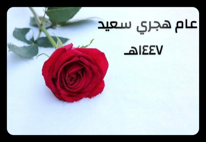 "
͏ 
͏͏ ⠀͏

͏

ـ ١٤٤٧هہ
اللَّهُم عامًا مُشرقاً مُزهراً محفوفًا 
بـالتوفيق والبركة،
 يملؤه اليُسر والرضا 
واستجابة الدعوات وتحقيق الأمنيات..☘
#سنة_هجرية_مباركة
.
🖋 .. ألقيثــــــاره أنــاا ..