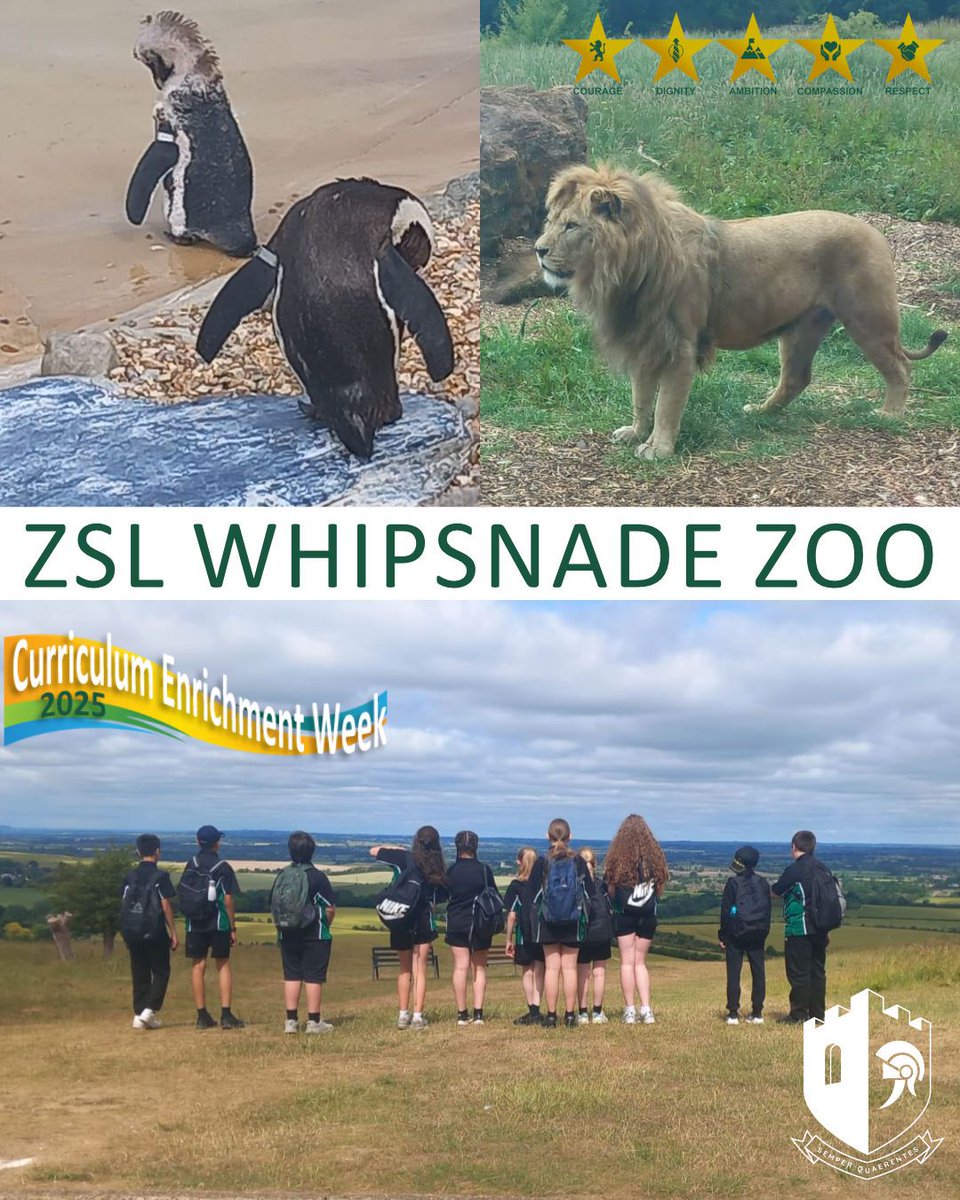Yesterday, some of our Year 7 students had an exciting trip to Whipsnade Zoo as part of their curriculum enrichment week. 🦁🦓🐧 They had the opportunity to observe a wide variety of animals up close. A fun and educational day out for all! 🌿🔬 #respect #WhipsnadeZoo  #CEW2025