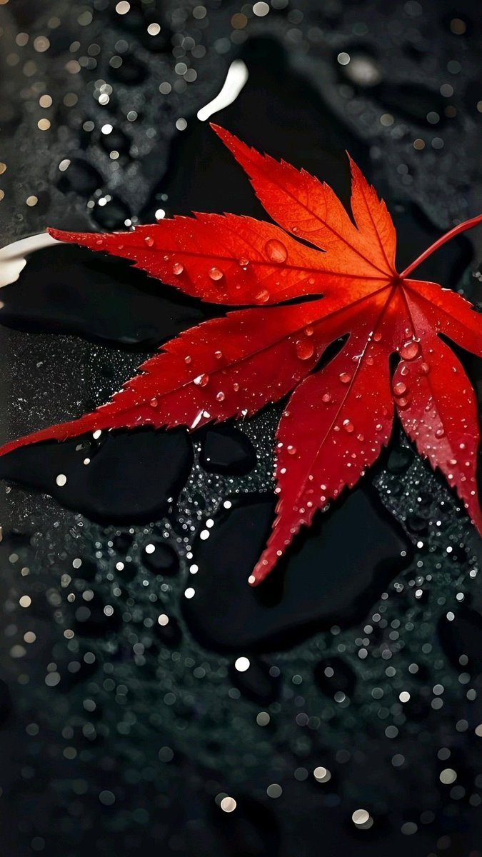 LockScreen wallpaper thread, let’s have yours❤️

Check out $SHOUT $BANE $MGANG $SCAT $FAN $SOUL $Z3N $Democracy <a href="/shoutdotfun/">Shout</a>