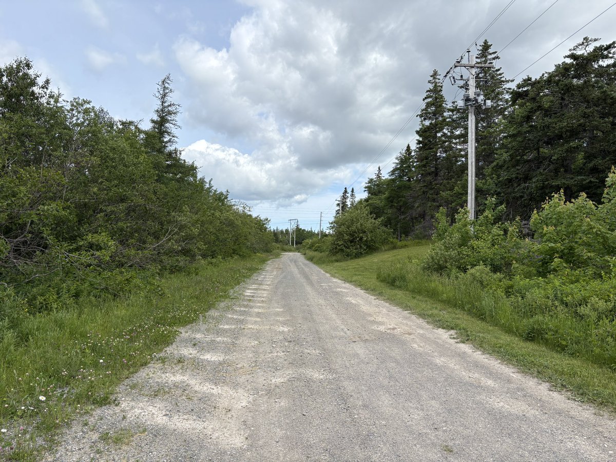 Ian Nathanson tweet media