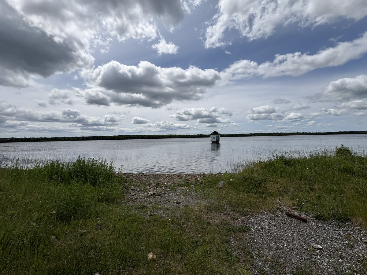 Ian Nathanson tweet media