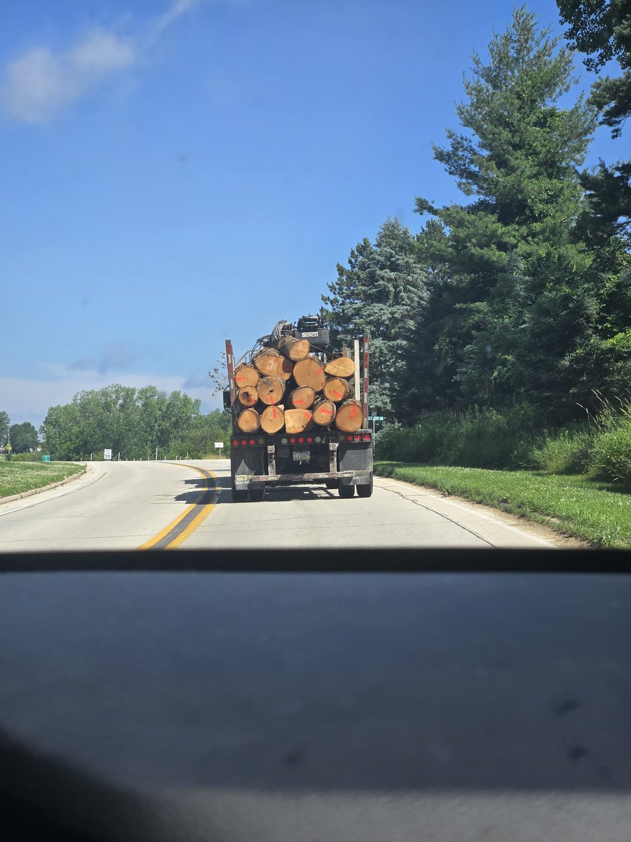 just(tif) for all ⚖️ tweet media