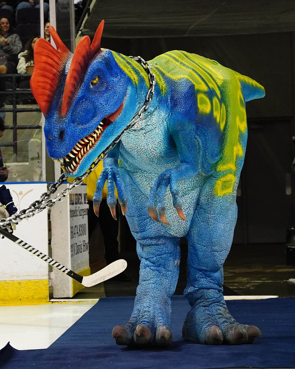 PcolaIceFlyers's tweet image. Now that the 2025-26 Theme Nights have been revealed, which one are you most excited for???
Tell us in the comments below! 👇
