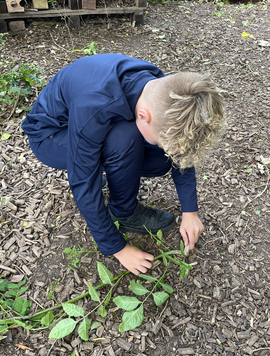 Samantha Hudson tweet media