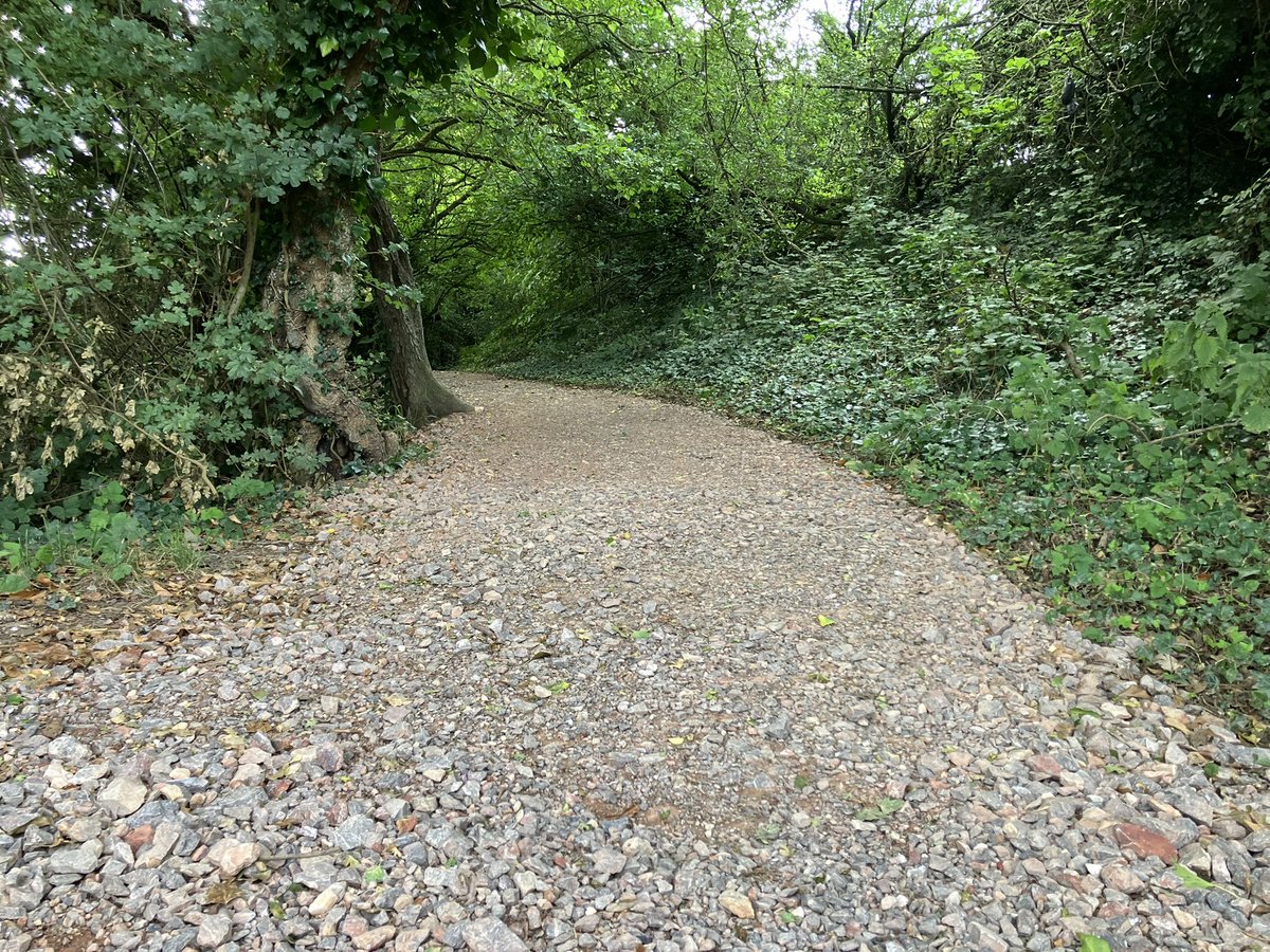 Big thanks to the resident who kept me updated on the path to Spiers Meadow &amp; Sherborne St John! 🙏 

The dry weather affected the surface, but once it rains 🌧️, it will firm up. 

The radar gate issue will be resolved soon 🚪. 

Stay tuned! 👀 

#PathUpdate #CommunityCare