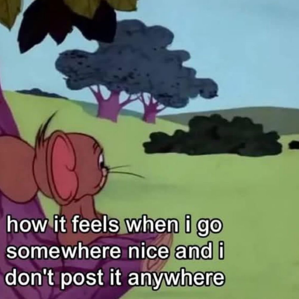 shawtyastrology's tweet photo. scorpio, pisces, 8th house &amp; 12th house placements really be like this: 🤐😌 https://t.co/qAd4mnaVQ6