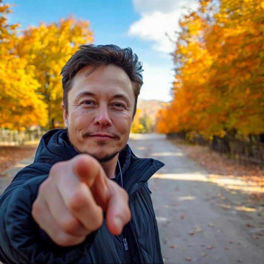 I know 99% of you will fail this Question 

Which Country was Elon Musk Born 

A:Canada
B:South Africa 
C:America