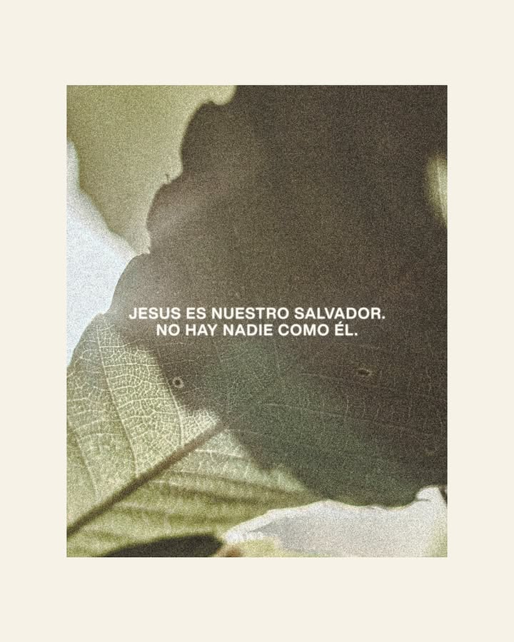 el Siervo (@elsiervo__) on Twitter photo 