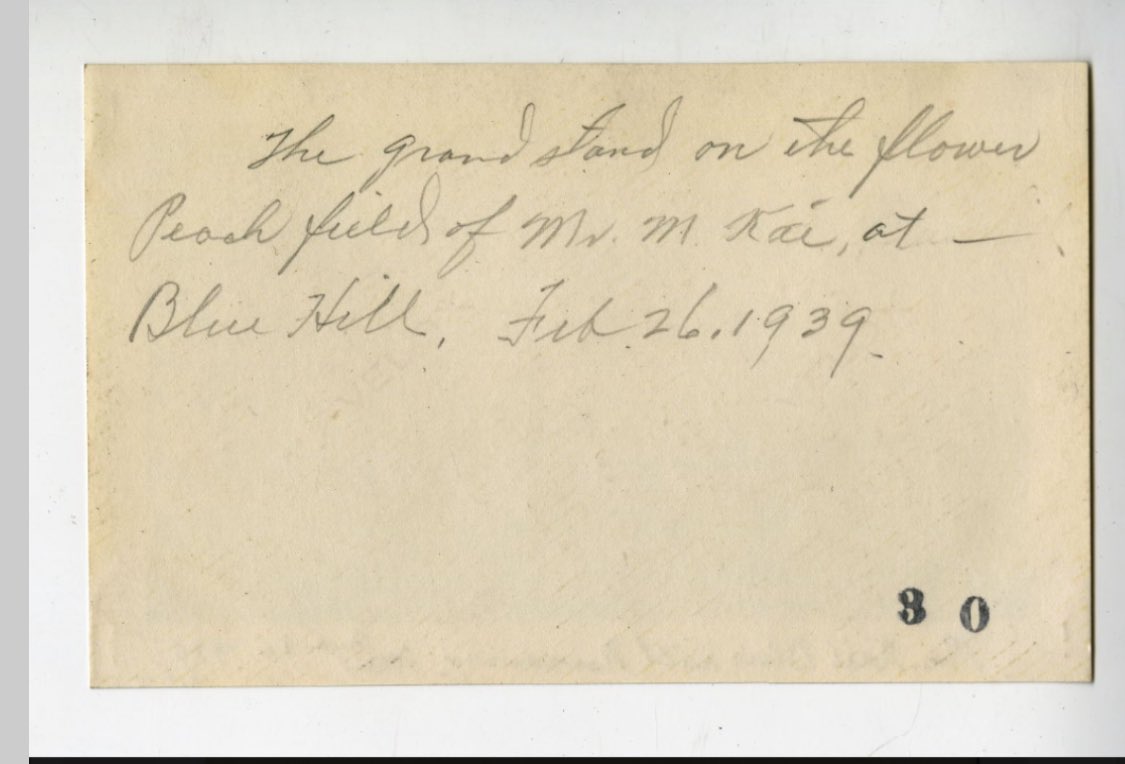 Blue Hills La Mirada (the area of what is now regional park) (1939) An old photograph of an orange field in Blue Hills, La Mirada. The handwritten note on the back side on one reads: A part of the extensive orange field in Blue Hill. Feb. 26, 1939. it would look better in color!