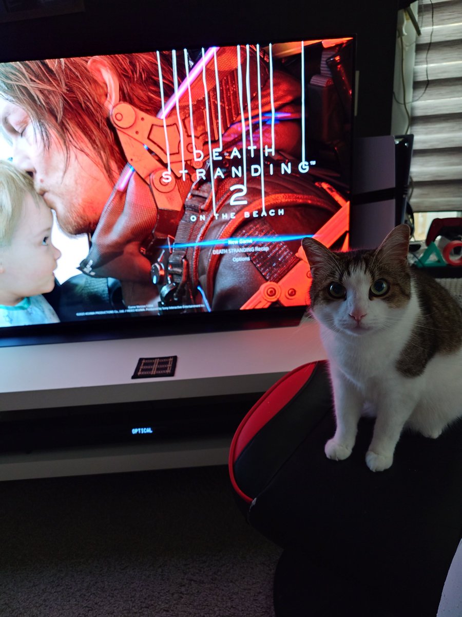 Hype Your Games tweet media