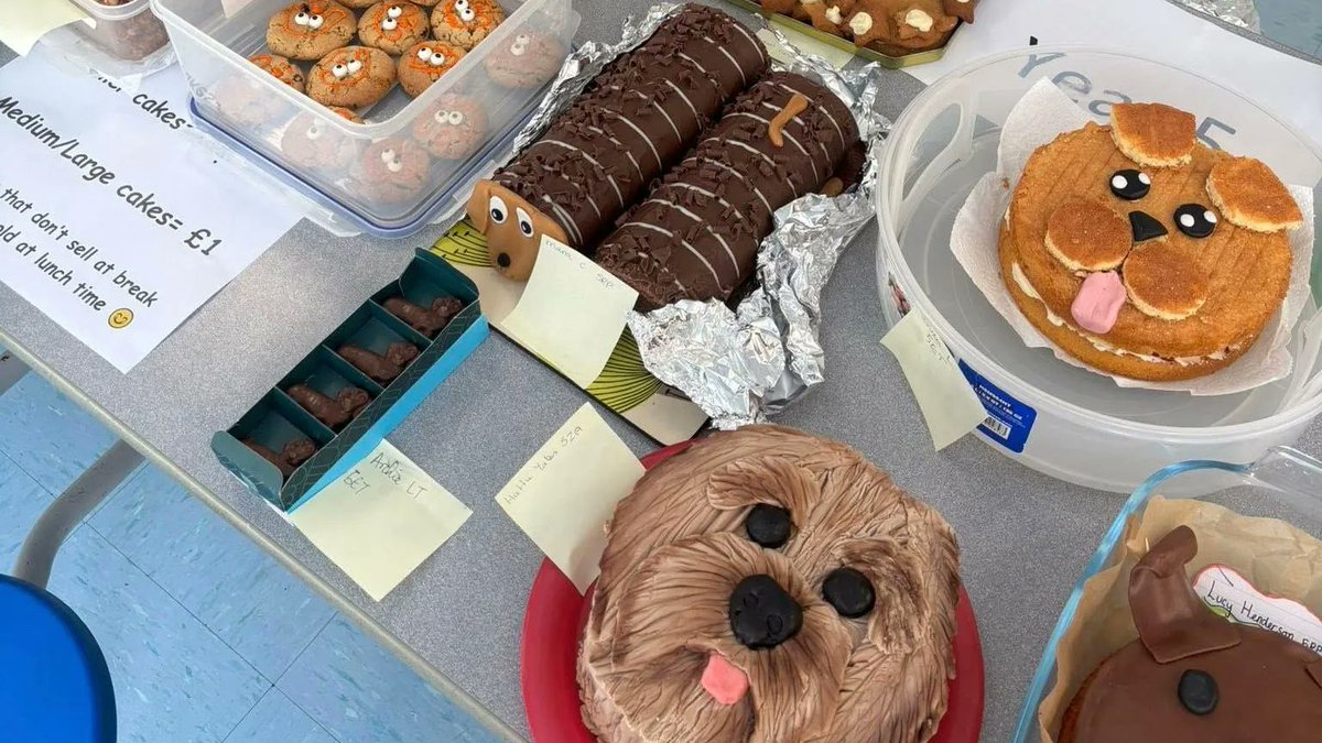 Goodable's tweet image. Timeline Cleanse: In England, students are baking cakes, designing scarves, and raising funds to help Nellie, a puppy training to become their school’s therapy dog.
They’re making sure she’s ready to bring comfort and cuddles to everyone. 🐶💛