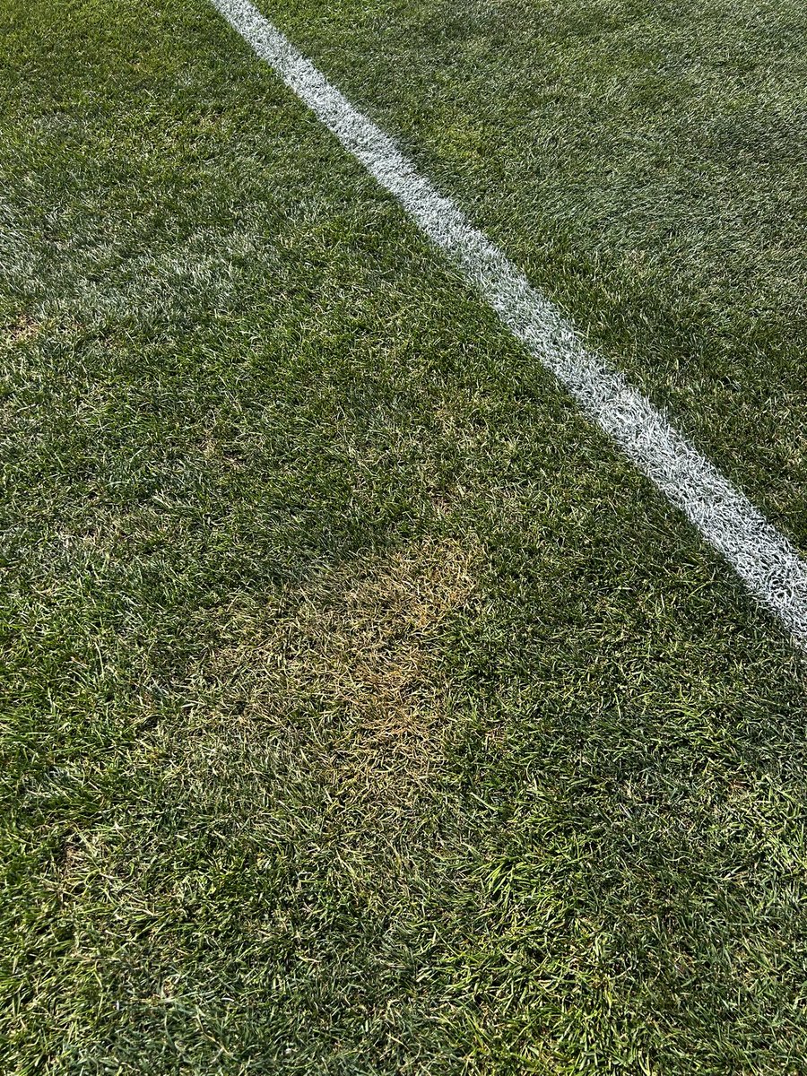 Posted temperatures around the ballpark yesterday. Unfortunately we have got burnt literally by a turf square, our BP protection, and a Tee. The turf square and tee were out there for short periods. Things that you don’t think will bite, will definitely bite you in the ass.