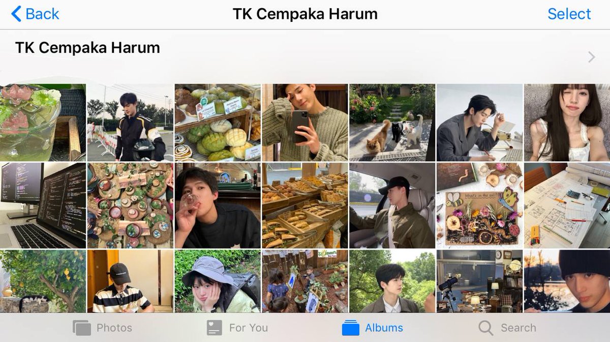 elya ☆ link au dibio tweet media